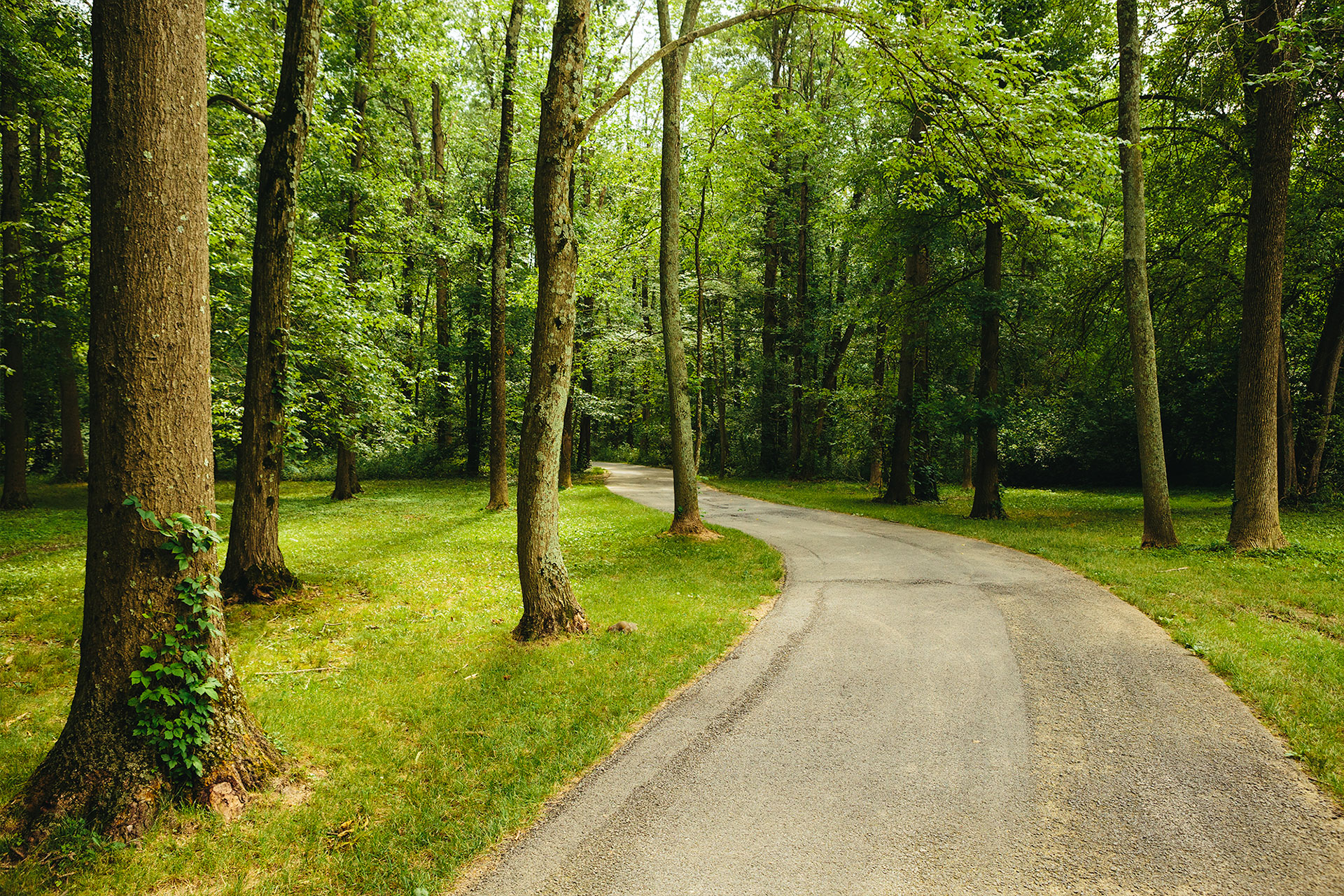 Lakehouse-Neighborhood-Trail