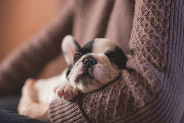 Flickr/freestocks